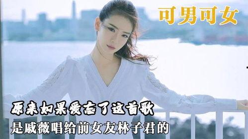 新如果爱忘了,探寻爱情记忆的奥秘与救赎